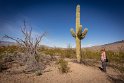 012 Saguaro NP